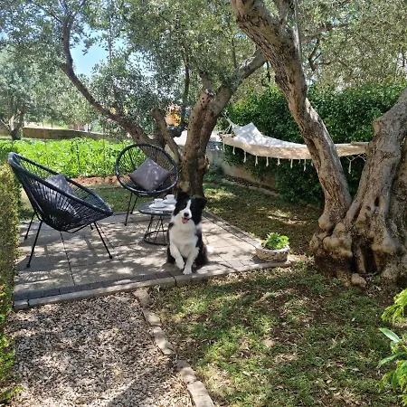 Studio Marina Zadar Exterior photo